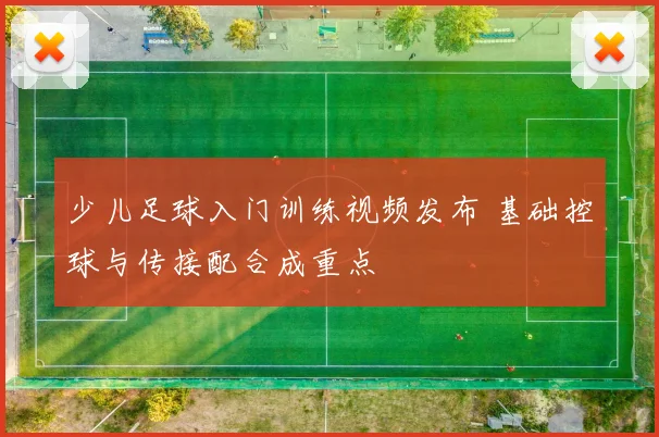 少儿足球入门训练视频发布 基础控球与传接配合成重点
